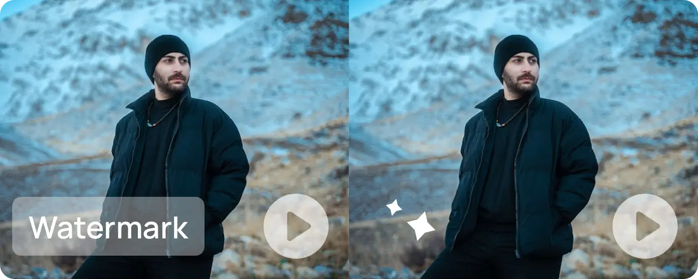 Remove Logo from Video